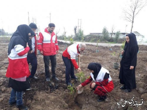 با حضورمعاون فرماندار روز درختکاری درعلی آباد کتول گرامی داشته شد