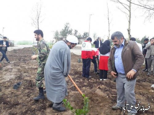 با حضورمعاون فرماندار روز درختکاری درعلی آباد کتول گرامی داشته شد