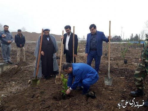 با حضورمعاون فرماندار روز درختکاری درعلی آباد کتول گرامی داشته شد