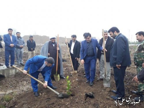 با حضورمعاون فرماندار روز درختکاری درعلی آباد کتول گرامی داشته شد