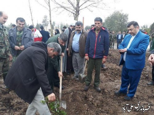 با حضورمعاون فرماندار روز درختکاری درعلی آباد کتول گرامی داشته شد