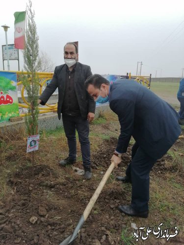 کاشت درخت با نام و یاد شهدا در امامزاده ساورکلاته شهرستان علی آباد کتول