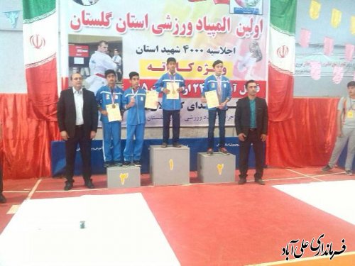 اولین المپیادورزشی کاراته گلستان درشهرفاضل آباد برگزارشد