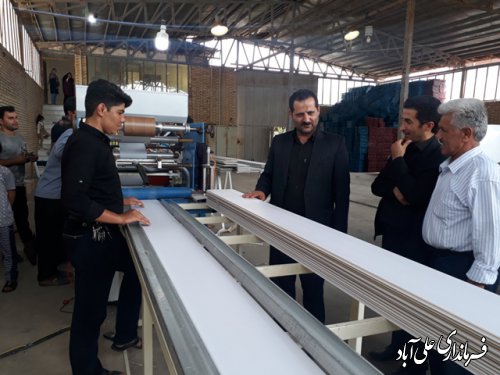 بازدید فرماندار از شهرک صنعتی علی آباد کتول وفاضل آباد