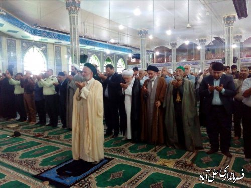 تشریح اقدامات دولت تدبیر و امید در سطح شهرستان علی آبادکتول 