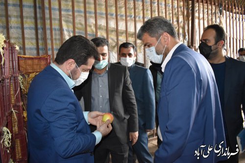 بازدید معاون اقتصادی استاندار،فرماندارو مدیران استانی و شهرستانی از بازار علی آبادکنول