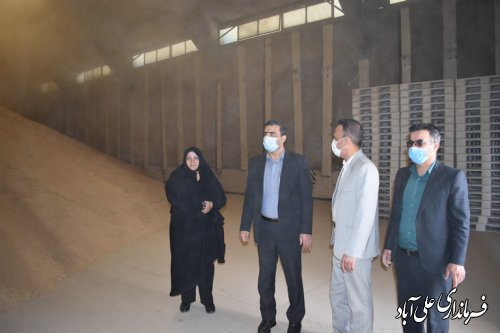 فرماندارعلی آبادکتول از سیلو و مرکز خرید گندم شهر فاضل آباد بازدید کرد