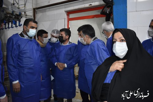 بازید شبانه دکتر پاپی زاده ، معاون وزیر  و رئیس سازمان امور عشایر ایران از کشتارگاه مرغ بیتامین