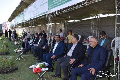 برگزاری جشنواره ملی زیبایی اسب اصیل ترکمن در علی آبادکتول