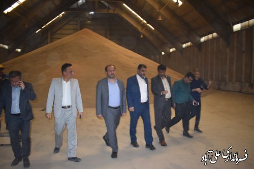 بازدید فرماندار به همراه  نماینده مجلس ومدیرکل غله استان از مراکز خرید گندم شهرستان
