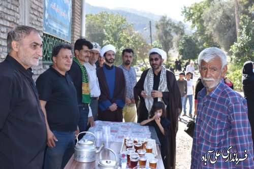 برگزاری پیاده روی دلدادگان اربعین در علی آبادکتول