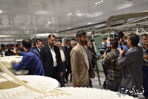 بازدید  وزیر صنعت،معدن وتجارت  از شهرک صنعتی  علی آبادکتول 