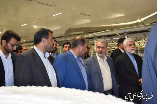بازدید  وزیر صنعت،معدن وتجارت  از شهرک صنعتی  علی آبادکتول 