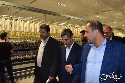 بازدید دکتر رسولیان" معاون وزیر و مدیرعامل سازمان صنایع کوچک و شهرکهای صنعتی کشور از شهرک صنعتی علی آباد کتول
