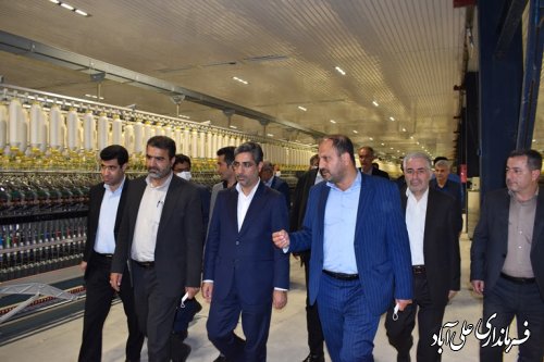 بازدید دکتر رسولیان" معاون وزیر و مدیرعامل سازمان صنایع کوچک و شهرکهای صنعتی کشور از شهرک صنعتی علی آباد کتول