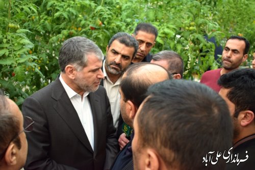 بازدید وزیر جهاد کشاورزی از شهرک گلخانه ای 10 هکتاری درشهرستان علی آباد کتول
