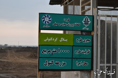 بازدید وزیر جهاد کشاورزی از شهرک گلخانه ای 10 هکتاری درشهرستان علی آباد کتول