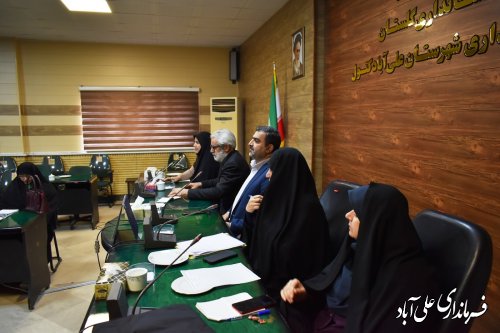 نشست بانوان شاغل در ادارات با فرماندار علی آباد کتول برگزار شد