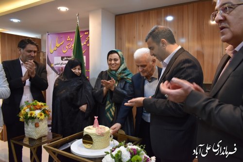 طرح های متمرکز اشتغالزایی حوزه بانوان شهرستان علی آبادکتول افتتاح شد. 