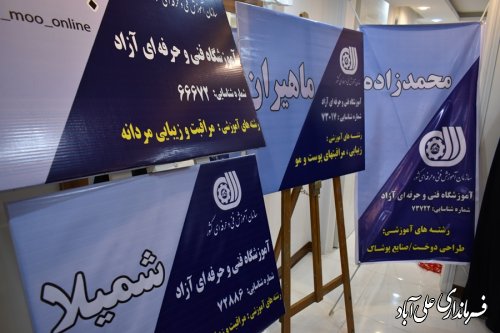 طرح های متمرکز اشتغالزایی حوزه بانوان شهرستان علی آبادکتول افتتاح شد. 