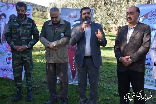 پویش سراسری صبح زیتون به یاد شهدای غزه و فلسطین با حضور فرماندار علی آبادکتول
