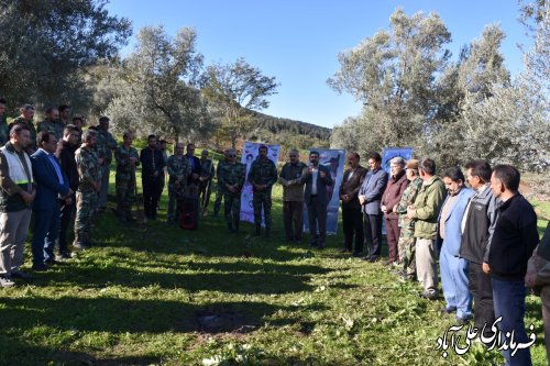 پویش سراسری صبح زیتون به یاد شهدای غزه و فلسطین با حضور فرماندار علی آبادکتول