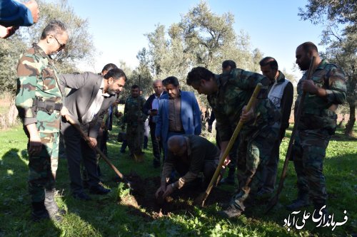پویش سراسری صبح زیتون به یاد شهدای غزه و فلسطین با حضور فرماندار علی آبادکتول