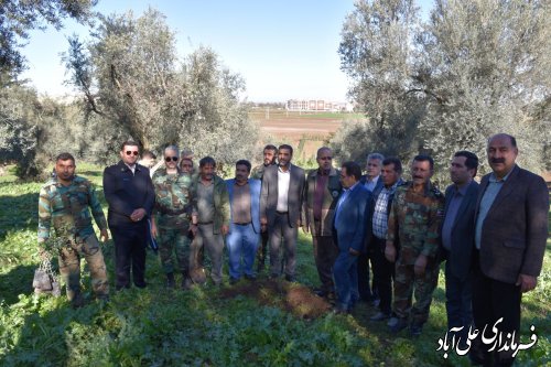 پویش سراسری صبح زیتون به یاد شهدای غزه و فلسطین با حضور فرماندار علی آبادکتول