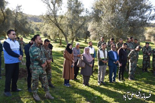 پویش سراسری صبح زیتون به یاد شهدای غزه و فلسطین با حضور فرماندار علی آبادکتول