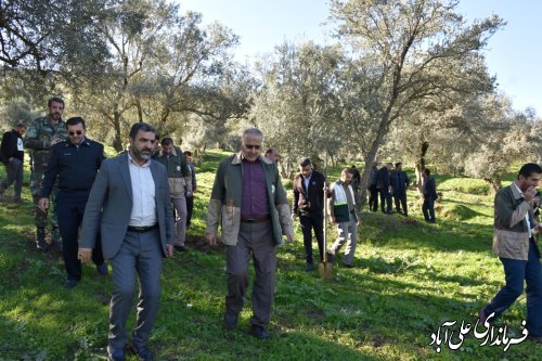 پویش سراسری صبح زیتون به یاد شهدای غزه و فلسطین با حضور فرماندار علی آبادکتول