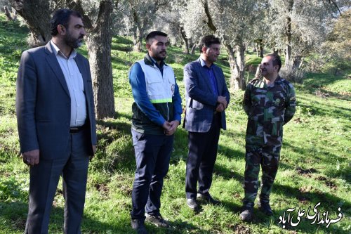 پویش سراسری صبح زیتون به یاد شهدای غزه و فلسطین با حضور فرماندار علی آبادکتول