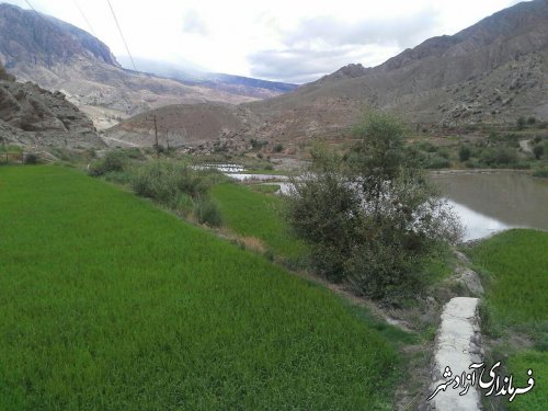 اجرای کشت زیر پلاستیک نشاء برنج در شالیزارهای نسق روستای رودبار