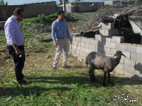 برگزاری کلاس توجیهی تب برفکی  برای دامداران شهرستان آزادشهر