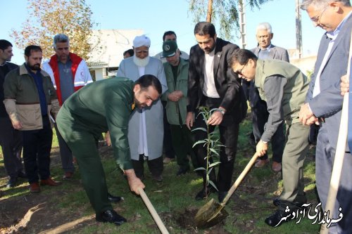 203هزار اصله نهال سهم شهرستان آزادشهر در طرح یک میلیارد درخت