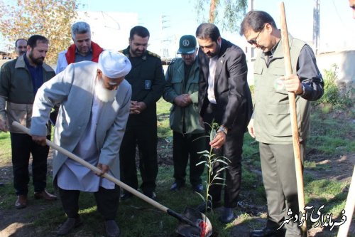 203هزار اصله نهال سهم شهرستان آزادشهر در طرح یک میلیارد درخت