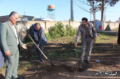 203هزار اصله نهال سهم شهرستان آزادشهر در طرح یک میلیارد درخت