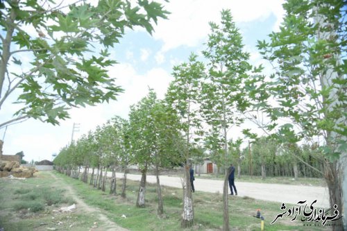 بازدید استاندار گلستان از طرح درختکاری توسط خیّر درختکار در روستای قورچای شهرستان آزادشهر