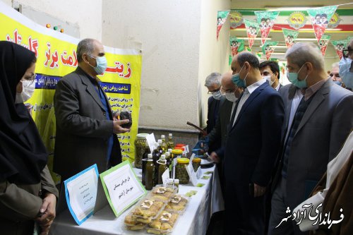افتتاح و آغاز عملیات اجرایی 227 پروژه عمرانی و اقتصادی در شهرستان آزادشهر