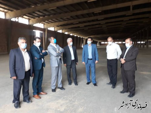 پیش بینی برداشت بیش از 44 هزار تن گندم از مزارع کشاورزی شهرستان آزادشهر