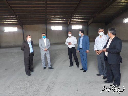 پیش بینی برداشت بیش از 44 هزار تن گندم از مزارع کشاورزی شهرستان آزادشهر