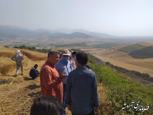 آتش سوزی به 15 هکتار از اراضی گندم زار شهرستان آزادشهر خسارت وارد کرد