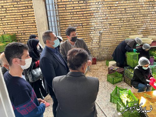 بازدید فرماندار آزادشهر از چند کارگاه‌ها تولیدی در سطح شهرستان