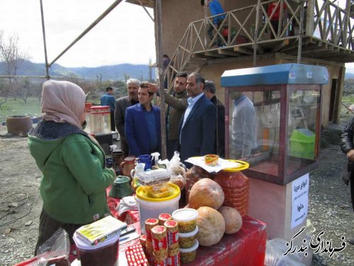 بازدید فرماندار بندرگز از کمپ نوروزی دهیاری گز شرقی