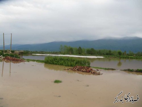 خسارت بارندگی در بندرگز 37 میلیارد ریال اعلام شد