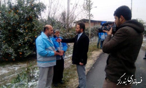 بازدید مدیرکل بحران استانداری و رییس اتاق  بازرگانی استان از باغات مرکبات شهرستان بندرگز