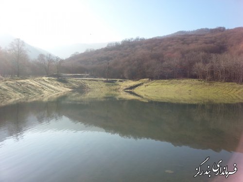 بازدید فرماندار بندرگز از پروژه تغذیه مصنوعی جنگل استون آباد