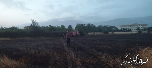 آتش سوزی به دلیل گرمای هوا و وزش بادهای گرم در مزارع گندم شهرستان بندرگز