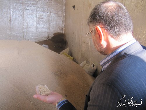 بازدید فرماندار بندرگز از شرکت تولیدی آرد ستاره