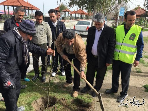 فرماندار بندرگز بر ترویج فرهنگ درختکاری و حفظ منابع طبیعی در جامعه تاکید کرد