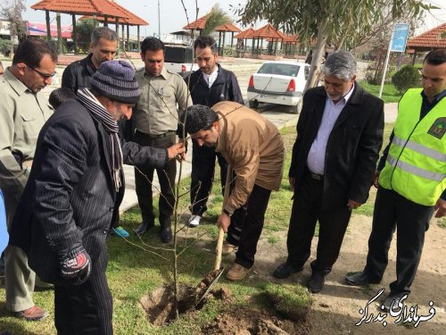 فرماندار بندرگز بر ترویج فرهنگ درختکاری و حفظ منابع طبیعی در جامعه تاکید کرد